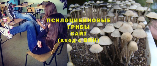 ECSTASY Дмитровск